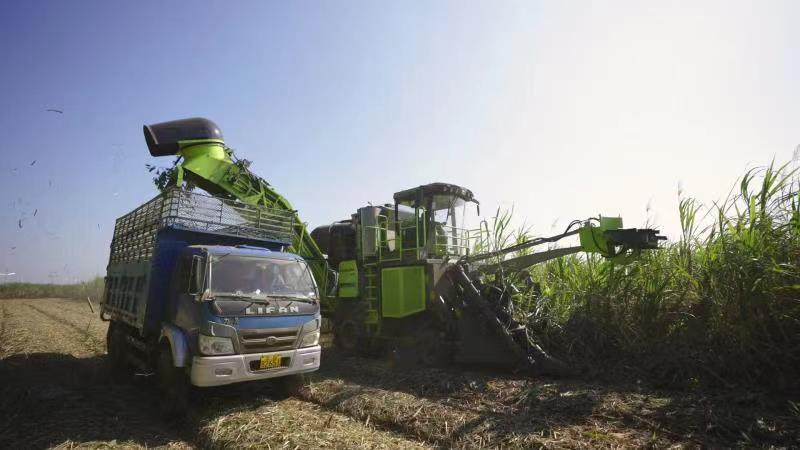 首页| 尊龙·Z6(中国集团)官方网站