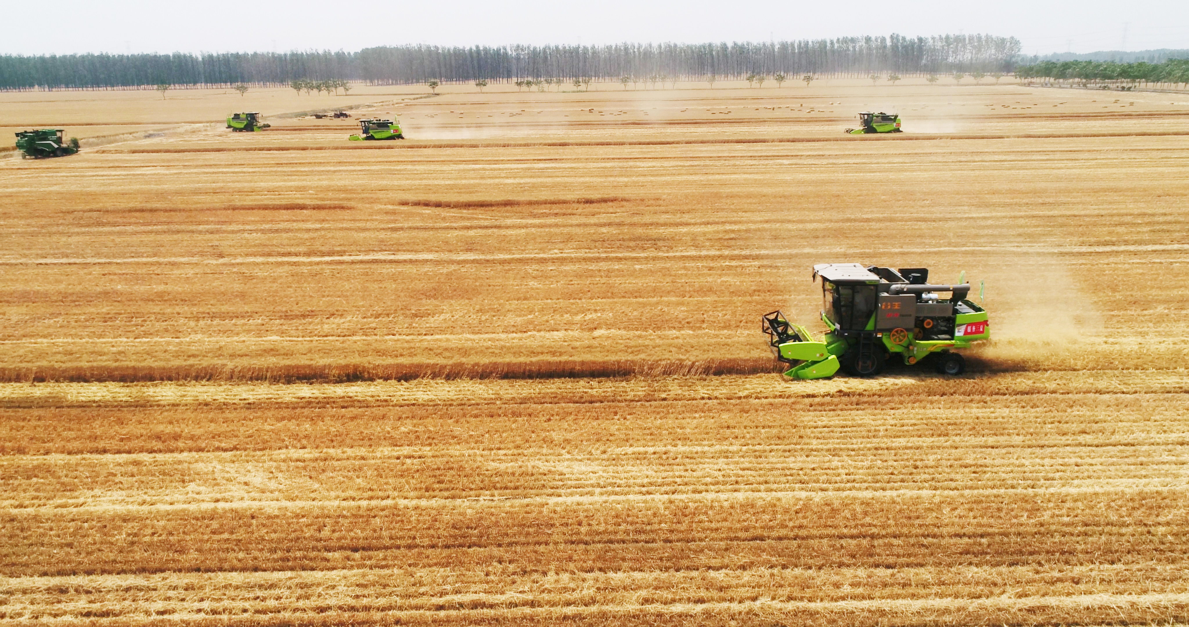 首页| 尊龙·Z6(中国集团)官方网站